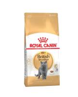 RC british shorthair-34 корм для Британских и Cкоттиш-фолд кошек 2кг