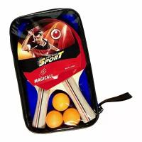 Набор для настольного тенниса илизиум (ракетки для настольного тенниса 2шт, шарики 3шт, сумка)