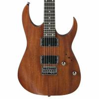 Электрогитара Ibanez RG421-MOL