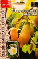 Семена Актинидии полигамной "мататаби" (20 семян)