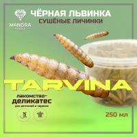 MANGRA exotic TARVINA, 250 мл - личинки черной львинки (сухой корм для черепах и рептилий)