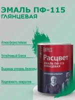 Эмаль ПФ-115 Расцвет универсальная атмосферостойкая глянцевая Бирюзовая 1,9кг ГОСТ 6465-76