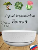 Керамический горшок "Бонсай - Дорс" для бонсай, кактусов и суккулентов, диаметр 22, высота 8 см, белый