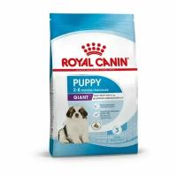 Royal Canin Giant Puppy PRO - 17 кг