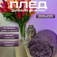 плед 200х220 ананас для дома и дачи покрывало одеяло фиолетовый