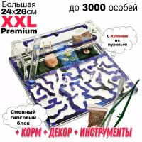 Большая муравьиная ферма XXL Premium 24*26см Полный комплект Вихрь