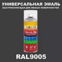 Универсальная аэрозольная эмаль, глянцевая, RAL 9005