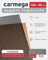 Универсальная сетка для защиты радиатора в бампер автомобиля 1000х400 мм, ячейка 16мм