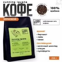 Кофе в зернах 9 BAR coffee & roasters / 9 БАР кофе, Бразилия/Эфиопия Cunning Iguana, арабика, 250 г