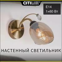 Citilux Комета CL108315 Бра Бронза Венге