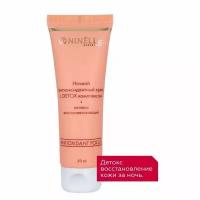 Ночной уход Ninelle So New-Age Skin Antioxidant Focus Антиоксидантный ночной крем, Ночной антиоксидантный крем с детокс комплексом, 50 мл