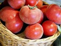 Коллекционные семена томата Пушистый абрикос