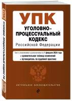 Уголовно процессуальный кодекс Российской Федерации текст с изменениями и дополнениями на 1 февраля 2024 года Волнухина Д