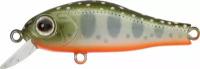 Zipbaits Rigge 35F (#126)