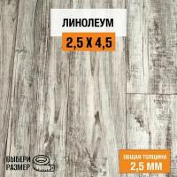 Линолеум для пола на отрез 2,5х4,5 м. Комитекс, коллекция Парма, Беркли 871, бытовой, 21 класс