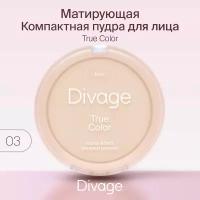 Пудра компактная Divage True Color т.03 Beige 8 г