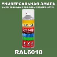 Универсальная аэрозольная эмаль, матовая, RAL 6010