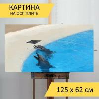 Картина на ОСП 125х62 см. "Дельфины, бассейн, дельфинарий" горизонтальная, для интерьера, с креплениями