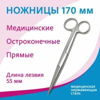 Ножницы остроконечные прямые с 2-мя острыми концами, 170 мм (13-126 н-6-2)