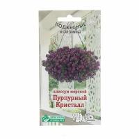 Семена цветов Алиссум морской "Пурпурный Кристалл", 0,02 г