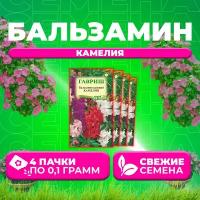 Бальзамин садовый Камелия, смесь, 0,1г, Гавриш, Цветочная коллекция (4 уп)