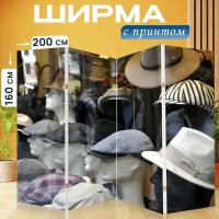 Ширма перегородка с принтом "Шапка, витрина, поход по магазинам" на холсте - 200x160 см. для зонирования, раскладная