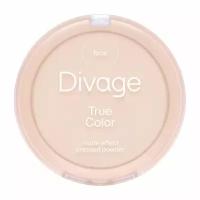 DIVAGE Пудра компактная True Color, 8 г, 01 Fair