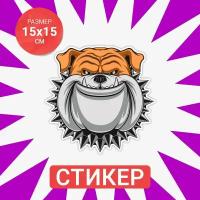 Наклейка 15х15 Angry dog