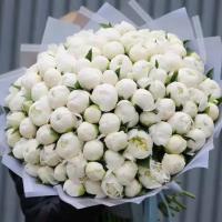 Букет белые пионы 101 шт, красивый букет цветов, пионов, шикарный, цветы премиум