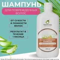 Tropicana Шампунь восстанавливающий для поврежденных и сухих волос Intense repair 290 мл