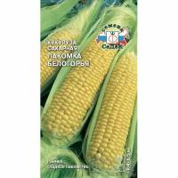 Кукуруза Лакомка Белогорья (сахарная) 5гр. (Седек)