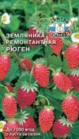 Семена Земляника Рюген (СеДеК) 0,04г