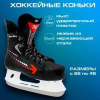 Хоккейные коньки RGX-2.0 ICE-Track (для проката) Размер: 46