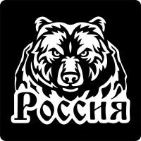 Наклейки на авто стикеры на стекло на кузов авто Зверь Хищник Медведь Россия 20х22 см