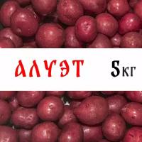 Семенной картофель сорта "Алуэт" 5кг, клубни