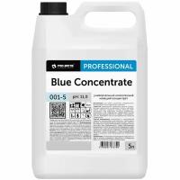 Профхим д/руч.мытья пола щел д/керам.плитки Pro-Brite/Blue Concentrate,5л