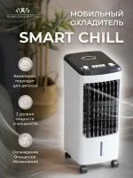 Мобильный вентилятор Smart Chill с функцией охлаждения