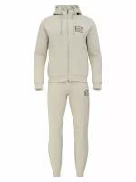 Костюм EA7 Emporio Armani Train Core ID M Label T-Suit TT Hoo-Ded FZ CH BR Silver Cloud (INT:L)