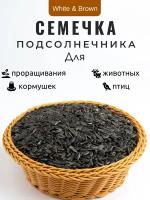 Семечки подсолнечника 10 кг. Сырые, неочищенные. Корм для лесных уличных и домашних птиц, грызунов