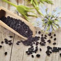 Нигелла Посевная Дива (дамасская), чёрный тмин, чернушка посевная, калонджи, удивительная однолетняя культура симпатичный цветок и пряно-вкусовое растение, 70 семян