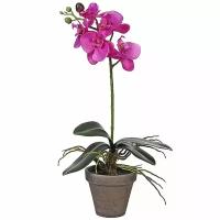 Edelman Орхидея искусственная в горшке 48 см розовая 949831