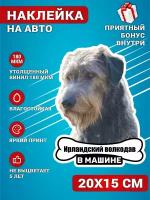 Наклейки на авто стикеры на стекло на кузов авто Ирландский волкодав собака в машине 20х15 см