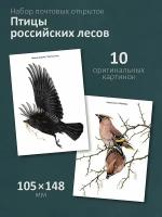 Набор почтовых открыток "Птицы российских лесов"