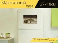 Магнитный пазл "Ласточкино гнездо, гнездо, птица" на холодильник 27 x 18 см
