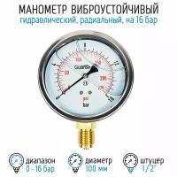 Манометр виброустойчивый YN100Z на 16 бар, 100 мм, G 1/2" радиальный, глицериновый