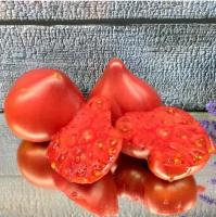 Коллекционные семена томата Бычье сердце Минусинское с носиком