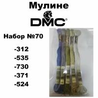 Нитки мулине DMC Embroidery для вышивания / Набор №70 / цвета 312, 535, 730, 371, 524