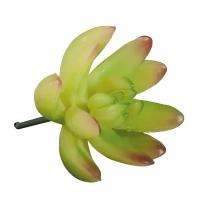 Декоративный цветок Rayher "Суккулент Эхеверия", светло-зеленый, пластик
