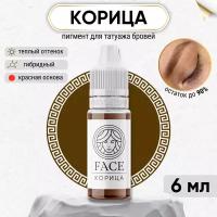 FACE Пигмент для татуажа бровей "Корица", гибридный на минеральной основе 6 мл