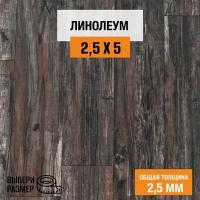 Линолеум для пола на отрез 2,5х5 м. Комитекс, коллекция Парма, "Беркли 873", бытовой, 21 класс